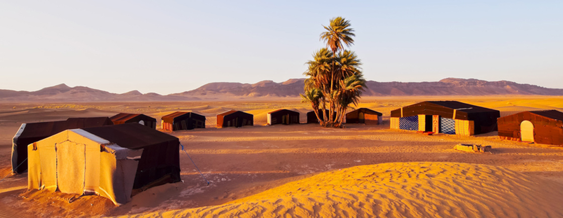 bivouac-sahara-banner1532369740