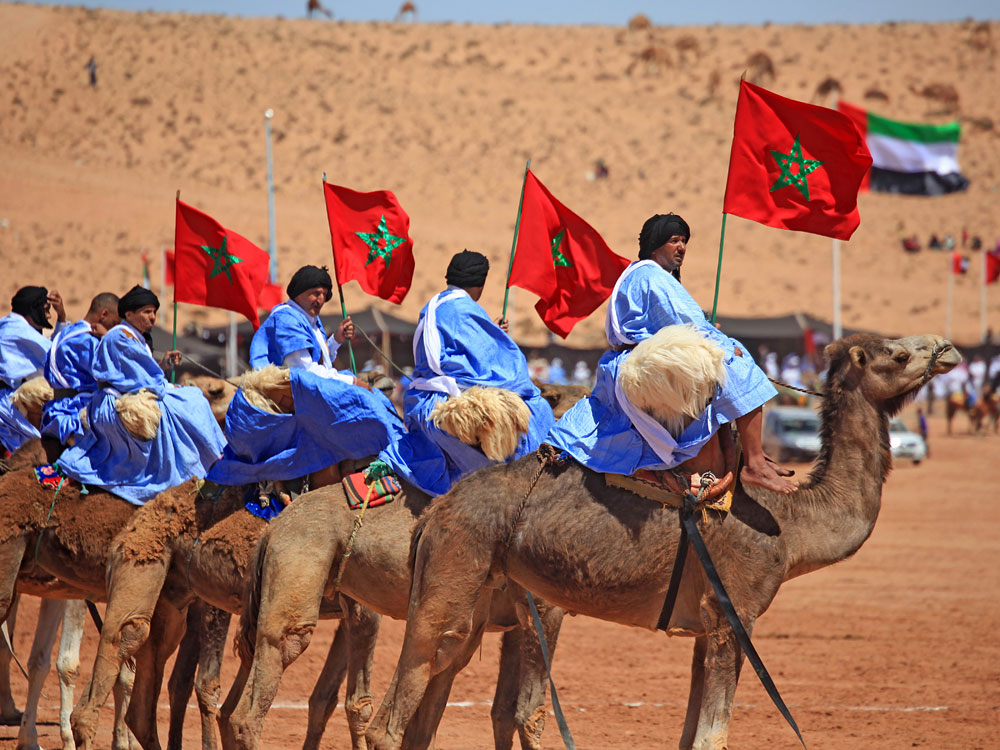 camel-ride-morocco-agadir-marrakech1545331194