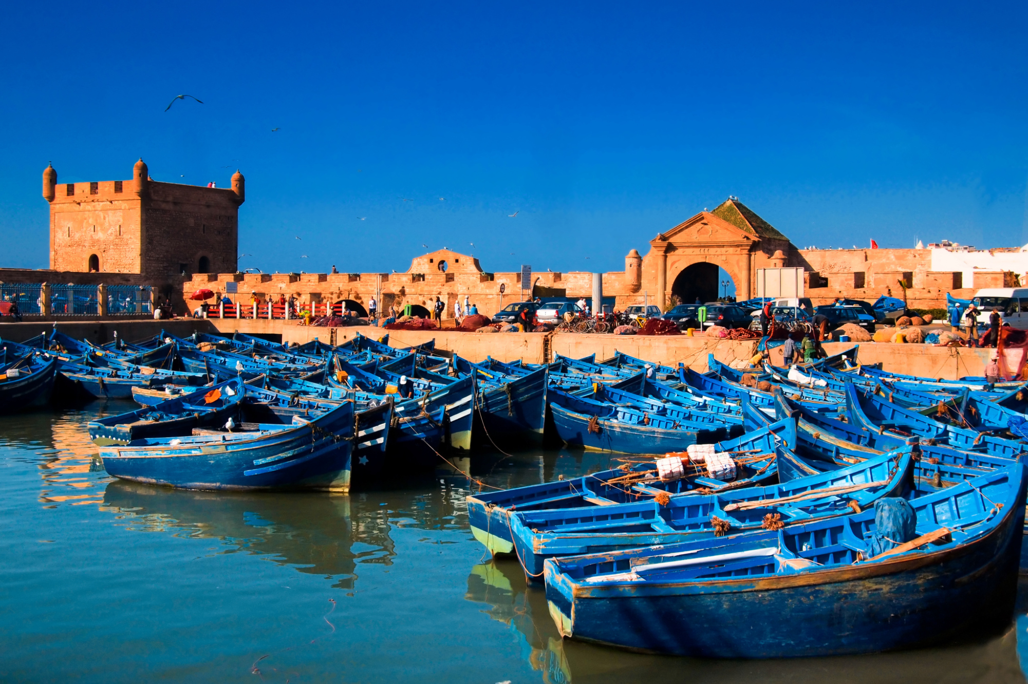 essaouira-fishing-port-nice1555589192