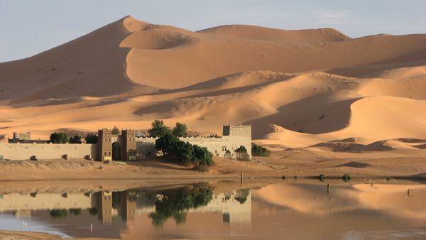 Lake, Erg Chebbi New.jpg