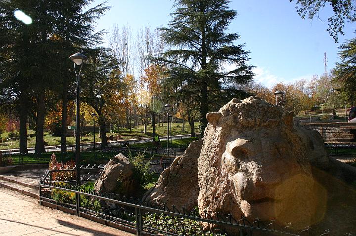 morocco-ifrane-lion1532074703.JPG