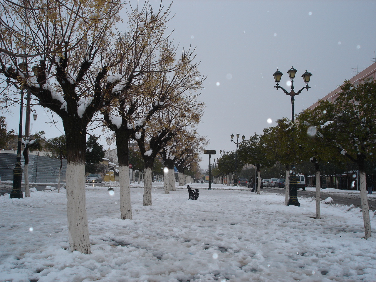 morocco-ifrane-snow1532074723