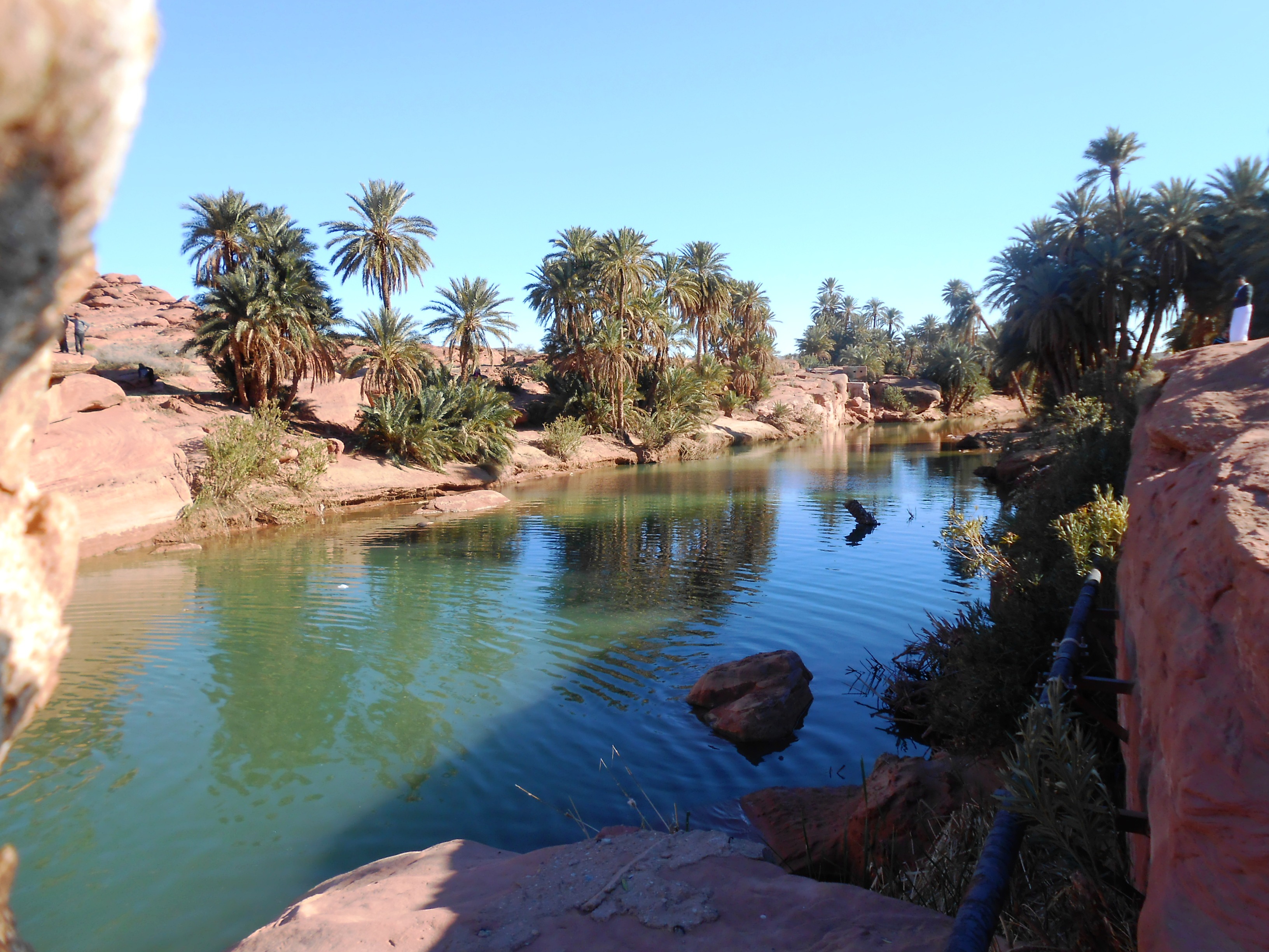 morocco-taroudant-oasis-tiout1532022751.JPG