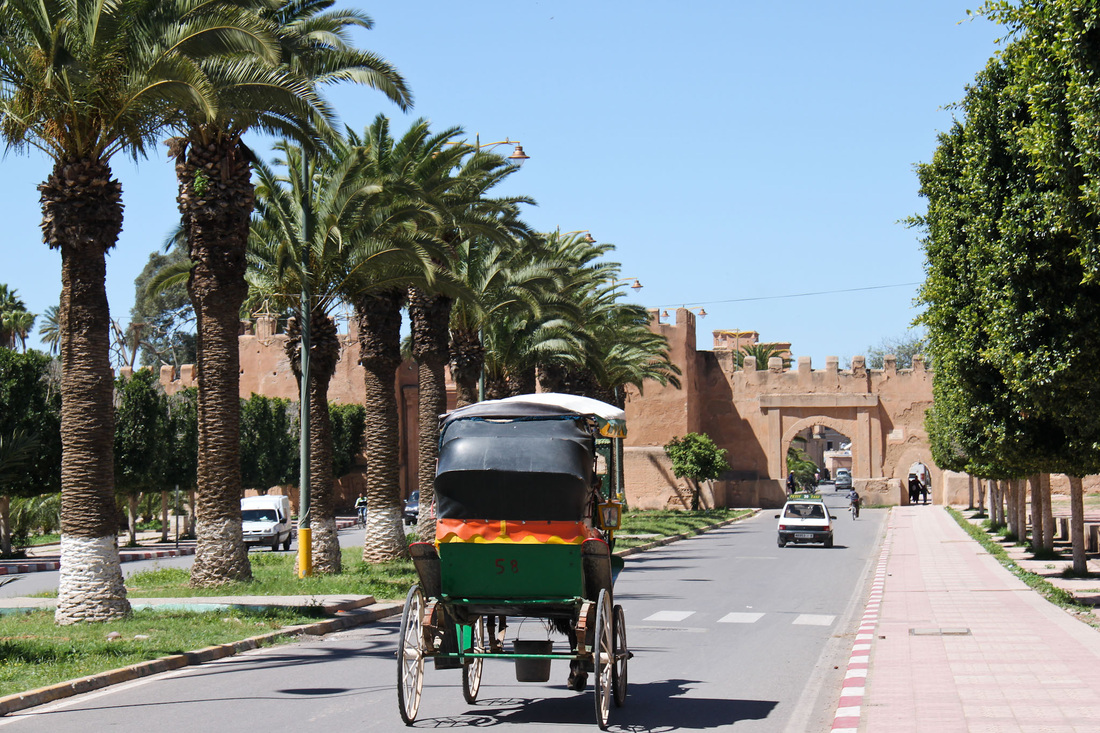 taroudant-agadir-excursion-visite1532541059